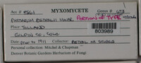 Image Associated With the Occurence